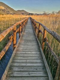 View of wooden footbridge along plants