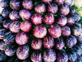 Close-up of eggplant at market stall