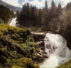 Scenic view of waterfall in forest