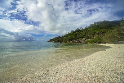 Scenic view of beach against sky