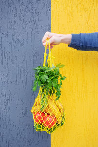 Yellow string bag with cucumbers, tomatoes, bananas and herbs in hand close-up. 