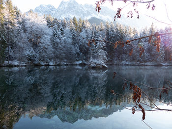 Reflection of trees in lake during winter