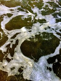 Close-up of white water
