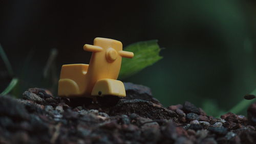 Close-up of toy on rock