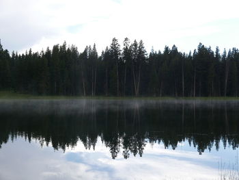 Reflection of trees in lake against sky