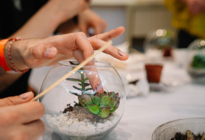 Midsection of person making succulent terrarium