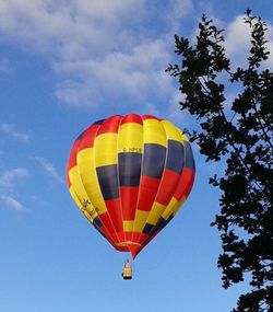 Low angle view of hot air balloons