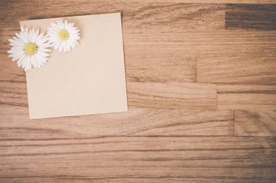 Directly above shot of daisy flowers with paper on hardwood floor