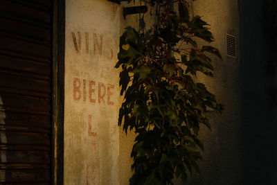 Close-up of text on window