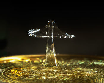 Close-up of water splashing on glass