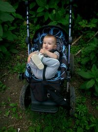 High angle portrait of cute boy in baby carriage on field