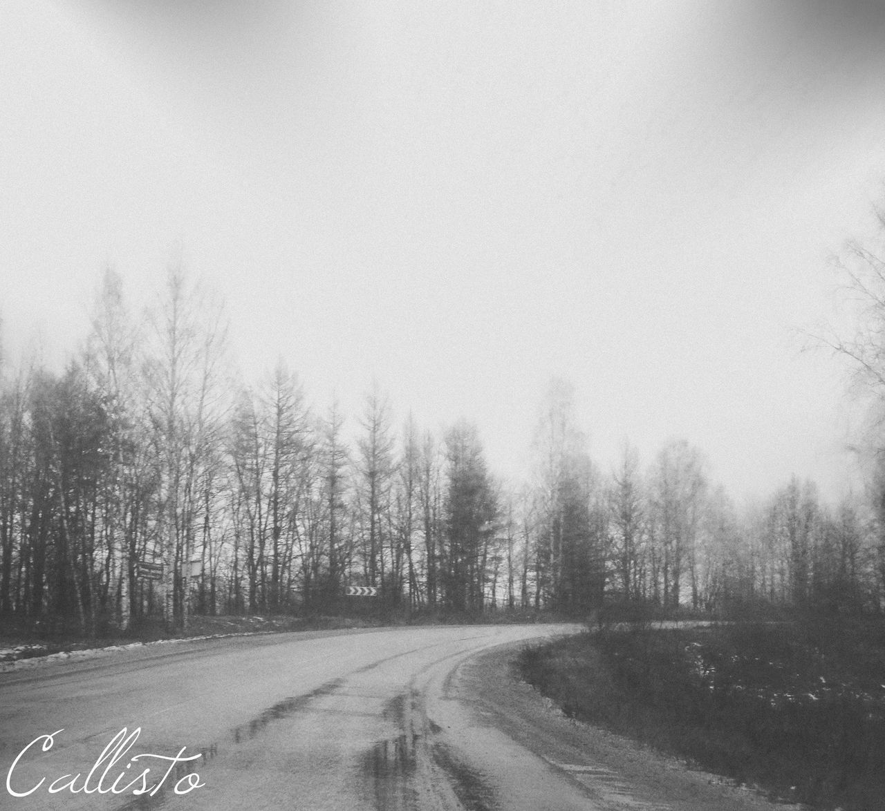 transportation, road, the way forward, tree, clear sky, copy space, diminishing perspective, tranquility, vanishing point, road marking, tranquil scene, nature, country road, sky, landscape, empty road, street, weather, outdoors