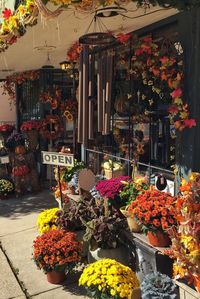 Market stall for sale