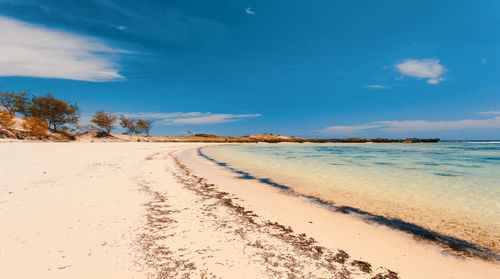 Scenic view of beach against blue sky