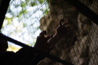 Close-up of a hand on a fence