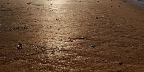 High angle view of footprints on sand