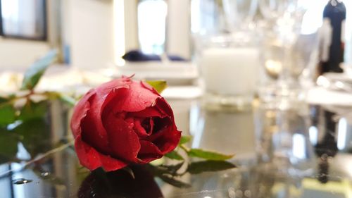 Close-up of red rose on table