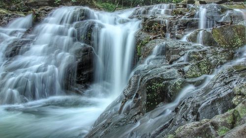 Scenic view of waterfall in forest