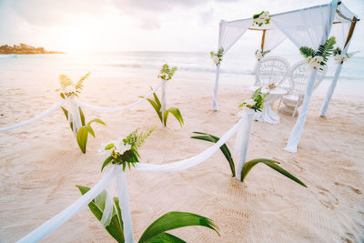 Potted plant on table at beach against sky