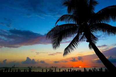 Silhouette of palm trees at sunset