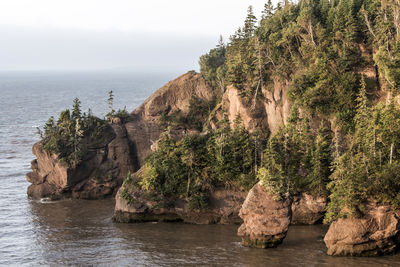 Scenic view of rocks in sea against sky