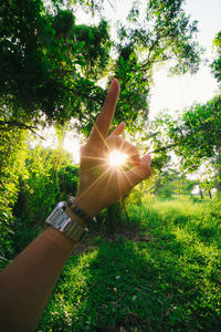 Close-up of hand against sunlight