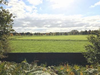 Scenic view of agricultural field against sky