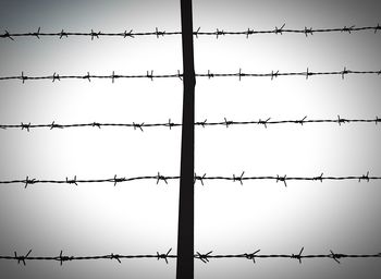 Close-up of barbed wire against clear sky