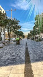 Street amidst trees and buildings against sky