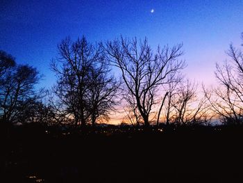 Silhouette bare trees against clear sky at night