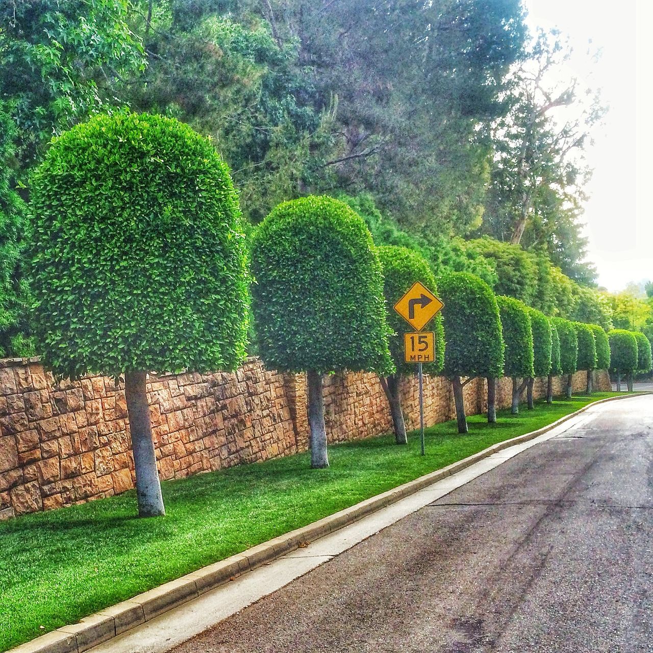 green color, tree, road, built structure, architecture, building exterior, grass, growth, green, street, text, day, plant, communication, outdoors, the way forward, nature, footpath, western script, no people