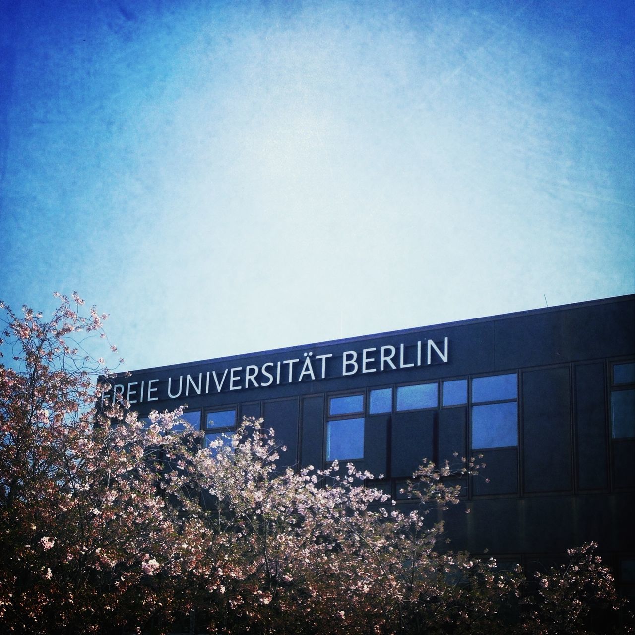 Freie Universität Berlin