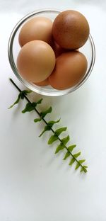 High angle view of eggs in bowl on table