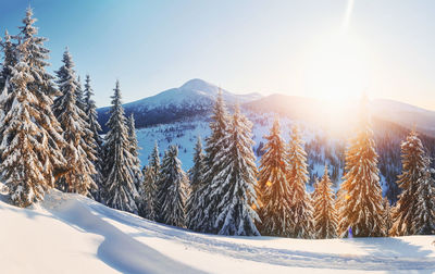 Majestic petros mountain illuminated by sunlight. magical winter landscape