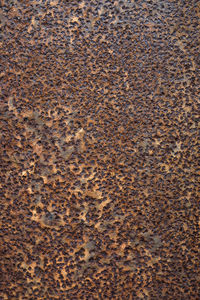 Full frame shot of pebbles on sand at beach
