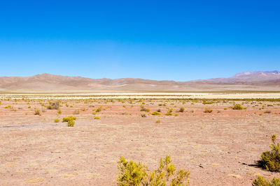 Scenic view of desert against blue sky