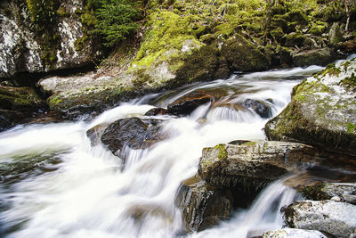 Scenic view of waterfall in forest