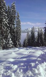snow
