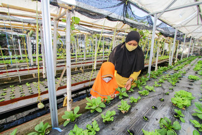 Rear view of young woman standing in greenhouse