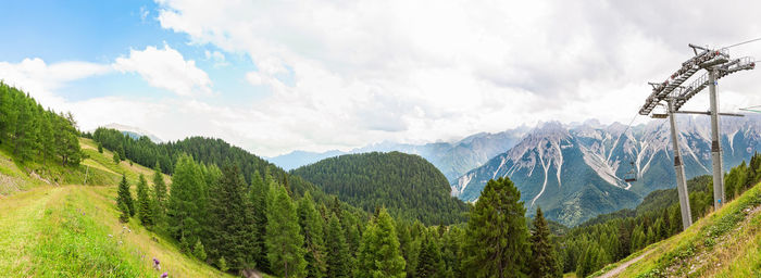 Panoramic view of trees in forest against sky