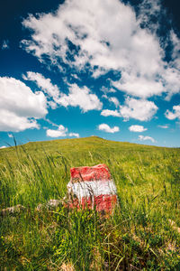 Scenic view of field against sky