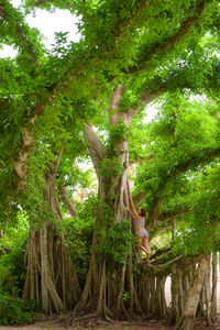 Low angle view of woman tree against sky