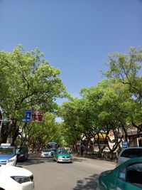 Cars on road by trees against clear blue sky