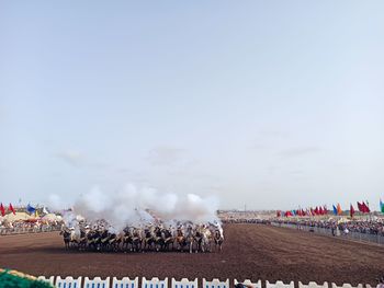 crowd