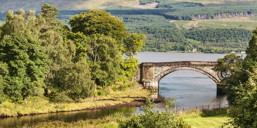 Arch bridge over river against trees