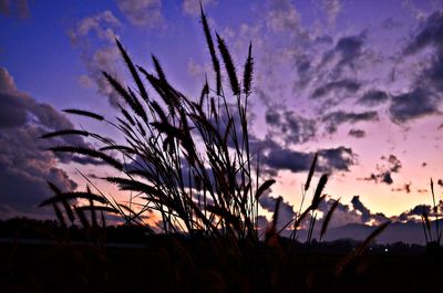 Scenic view of landscape against cloudy sky