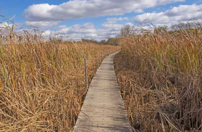 Boardwalk through the marshlands in volo bog state natural area in illinois