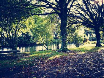 View of scenery with trees