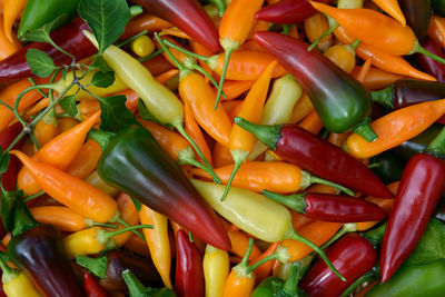 Full frame shot of chili peppers