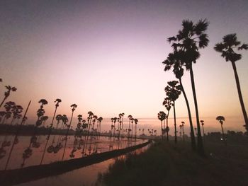 Silhouette palm trees by swimming pool against sky during sunset